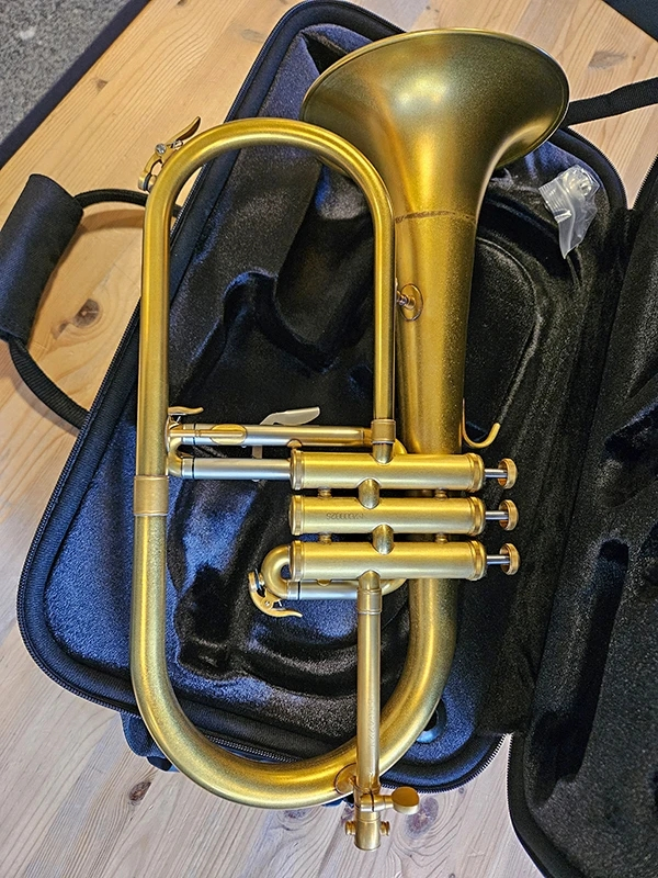 Eastman EFG422V