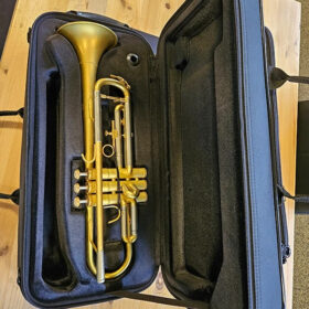 Eastman ETR324V